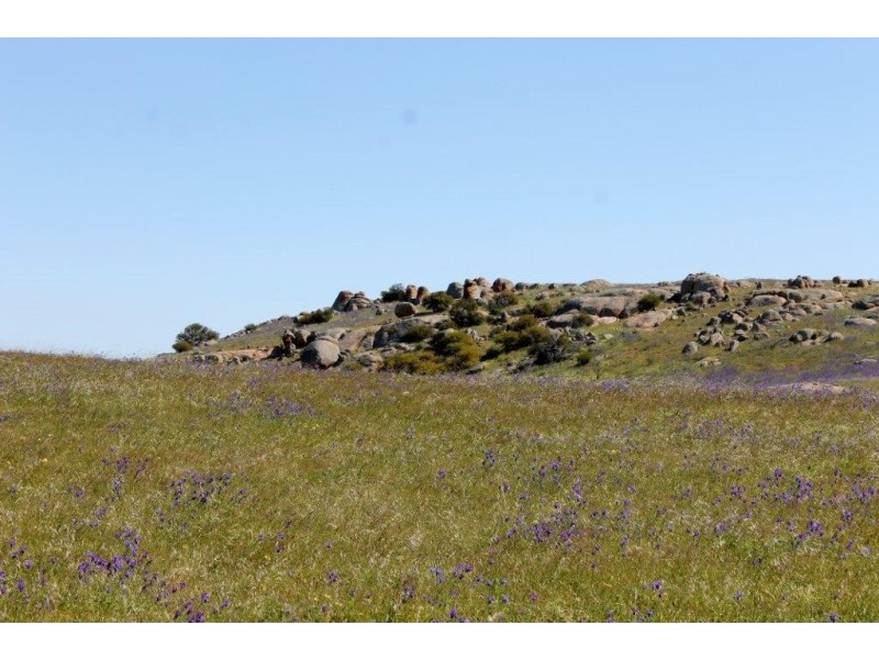 ‘Fig Tree’ Forrester Road, Mount Erin WA 6532