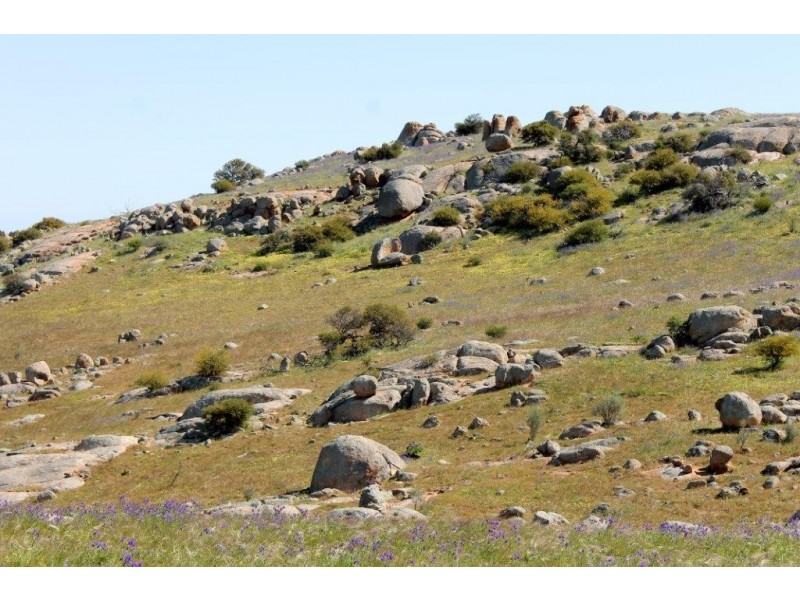 ‘Fig Tree’ Forrester Road, Mount Erin WA 6532