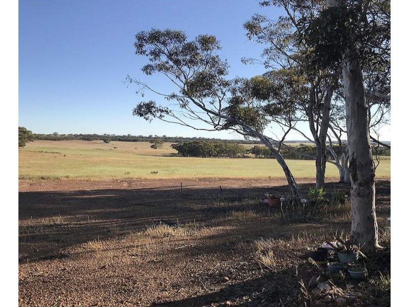 Lot 10481 Cubbine Road, Dulbelling WA 6383