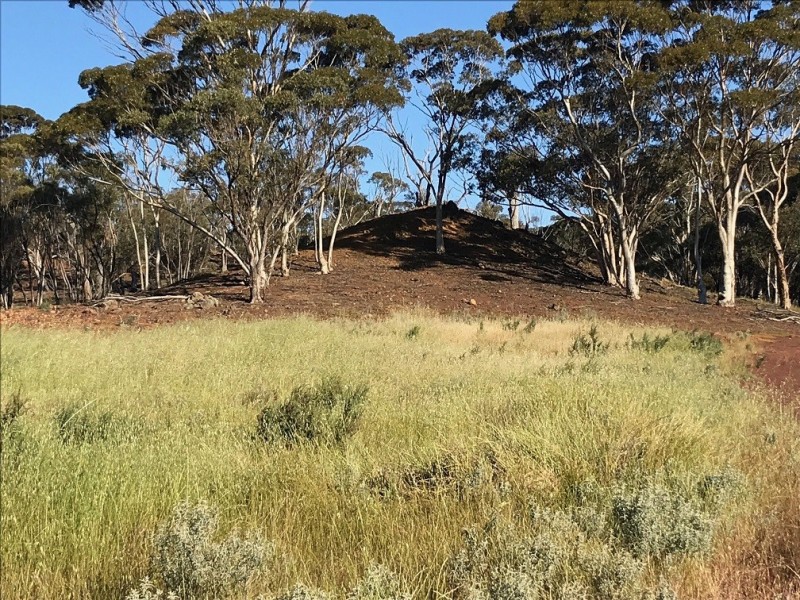 Lot 10481 Cubbine Road, Dulbelling WA 6383