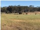 Lot 10481 Cubbine Road, Dulbelling WA 6383