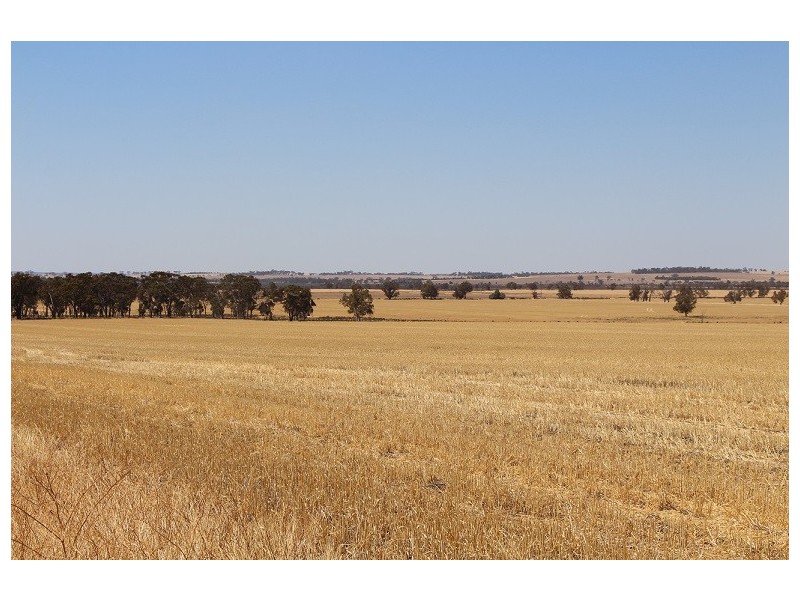 ”One Peak” Dalton Road, Yealering WA 6372