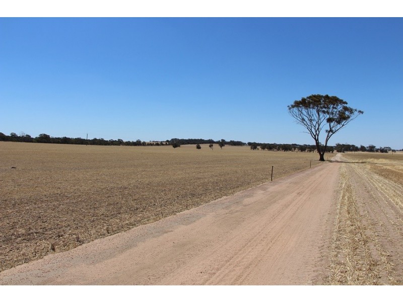 ”One Peak” Dalton Road, Yealering WA 6372