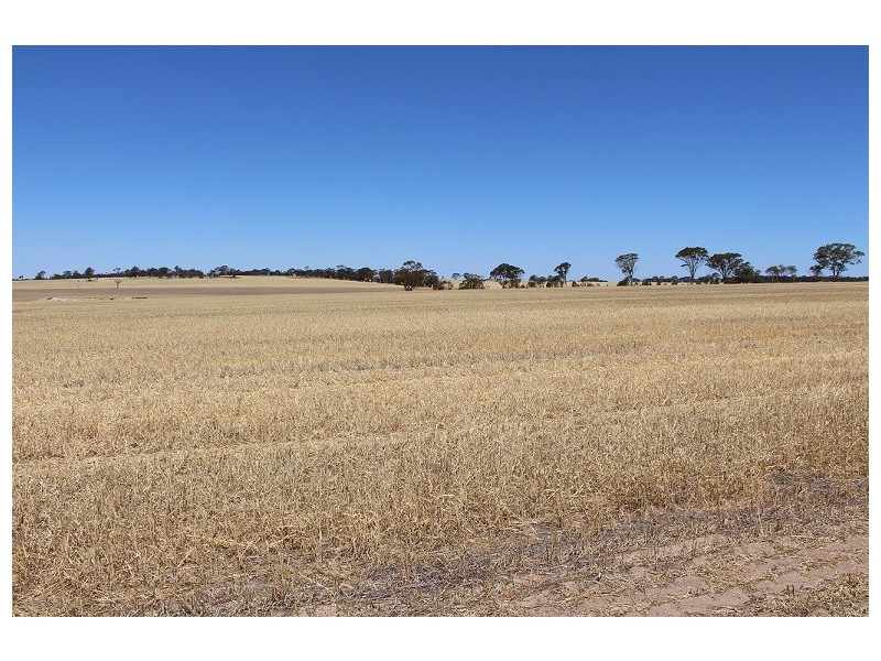 ”One Peak” Dalton Road, Yealering WA 6372