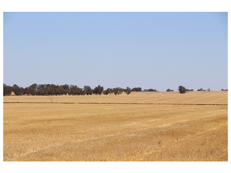 ”One Peak” Dalton Road, Yealering WA 6372