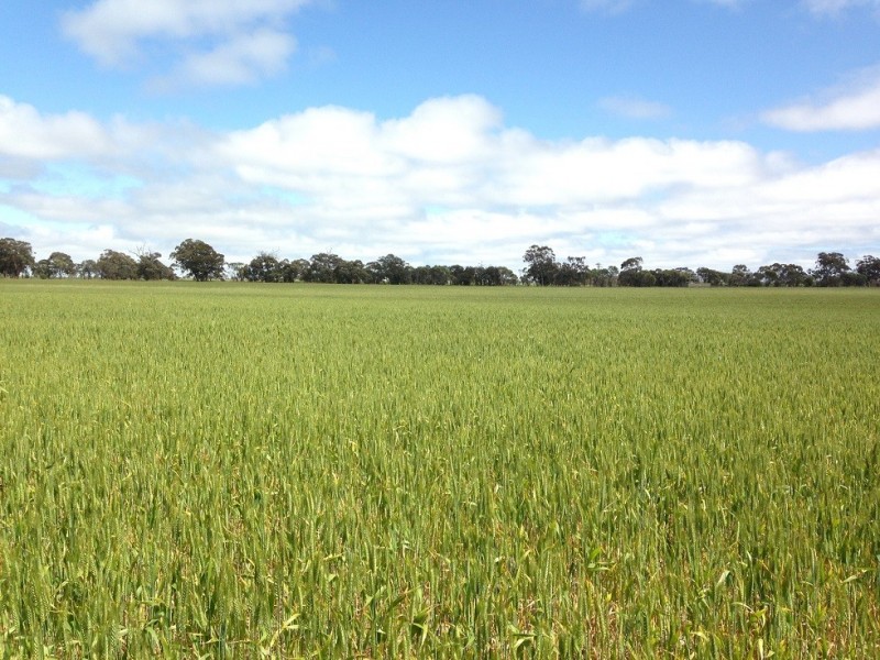 ”One Peak” Dalton Road, Yealering WA 6372