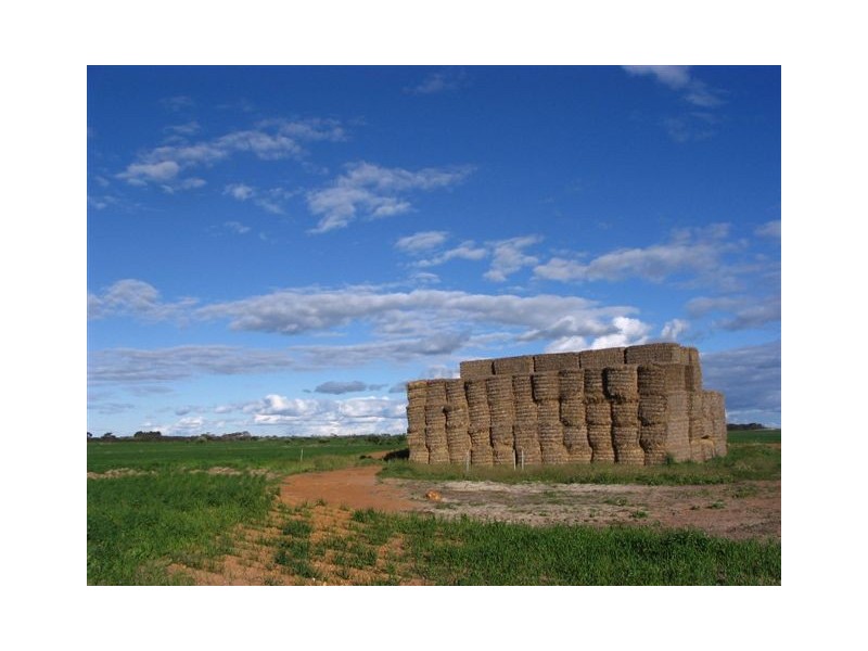 ‘Park Road’, Ongerup WA 6336