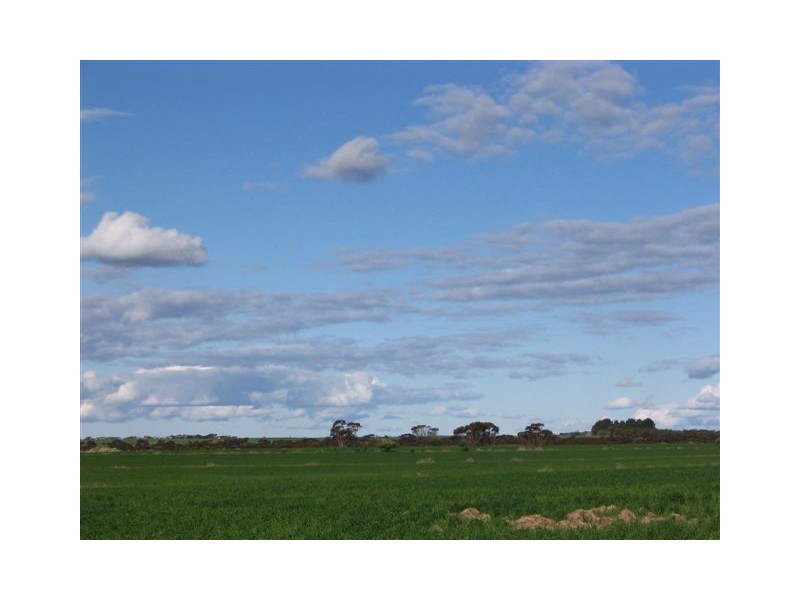 ‘Park Road’, Ongerup WA 6336