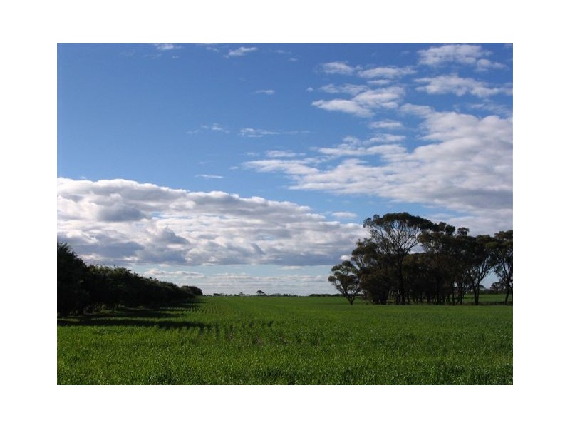 ‘Park Road’, Ongerup WA 6336