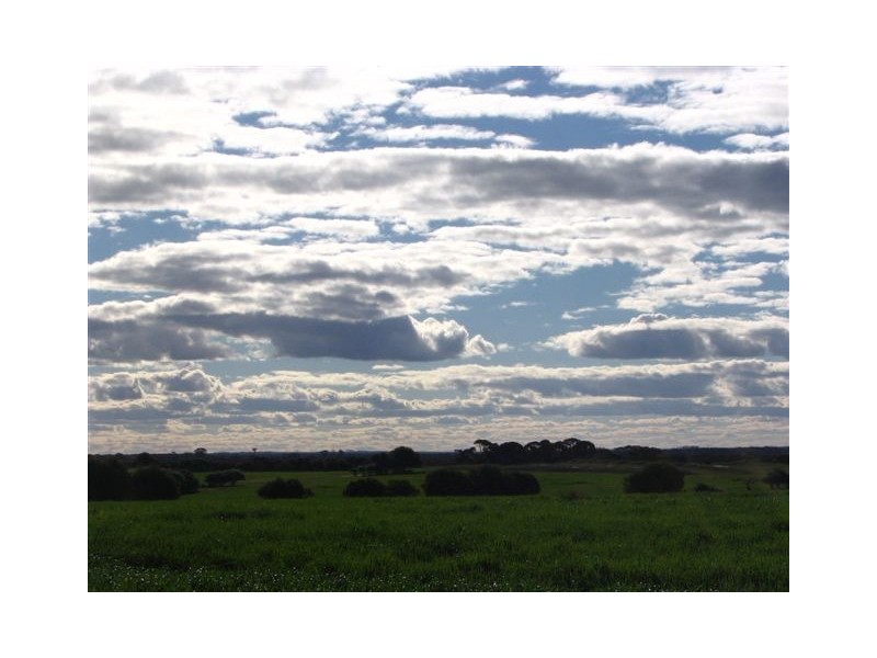 ‘Park Road’, Ongerup WA 6336