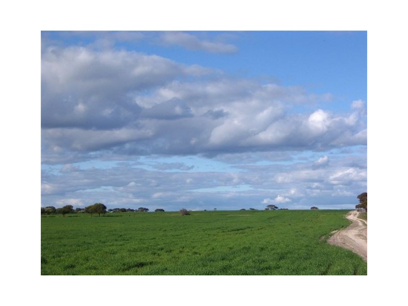 ‘Park Road’, Ongerup WA 6336