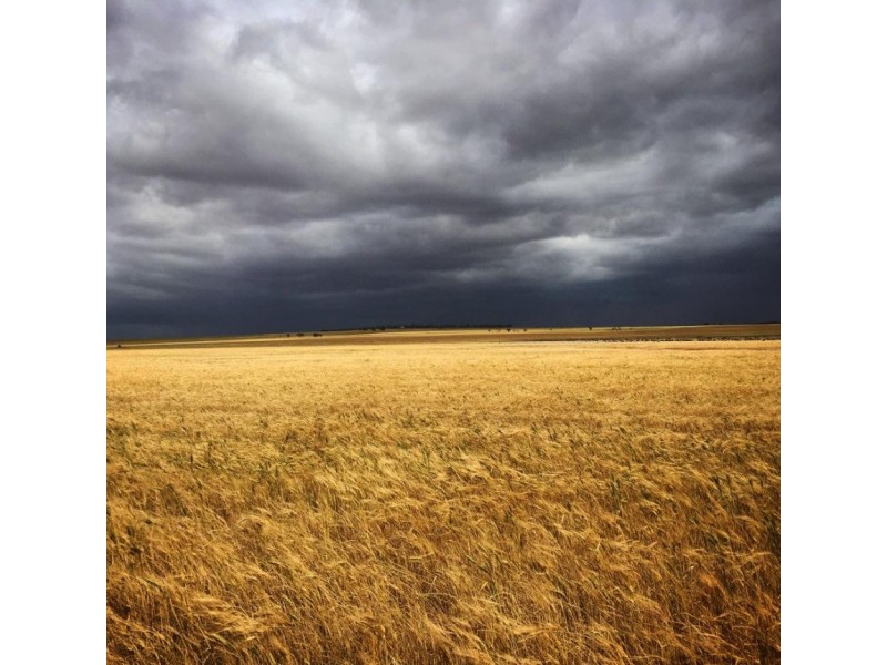 99 Avery Road, Dowerin WA 6461