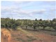 27559 South Western Highway, Balbarrup WA 6258