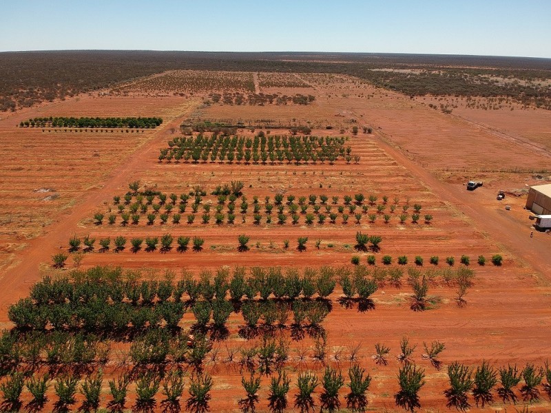 ‘Wydgee Station’ Great Northern Highway, Paynes Find WA 6612