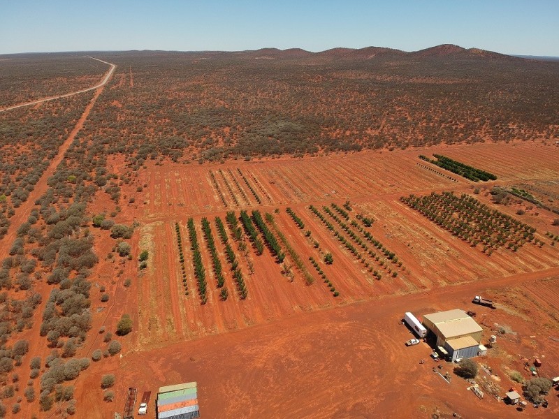 ‘Wydgee Station’ Great Northern Highway, Paynes Find WA 6612