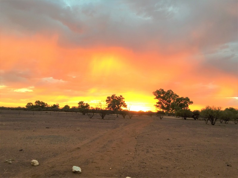 ‘Wydgee Station’ Great Northern Highway, Paynes Find WA 6612
