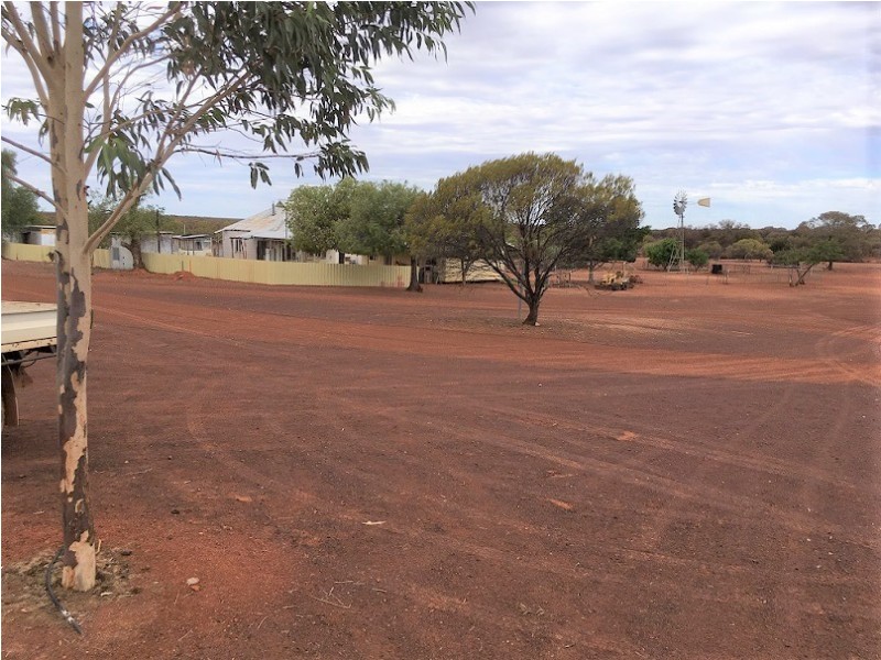 ‘Wydgee Station’ Great Northern Highway, Paynes Find WA 6612