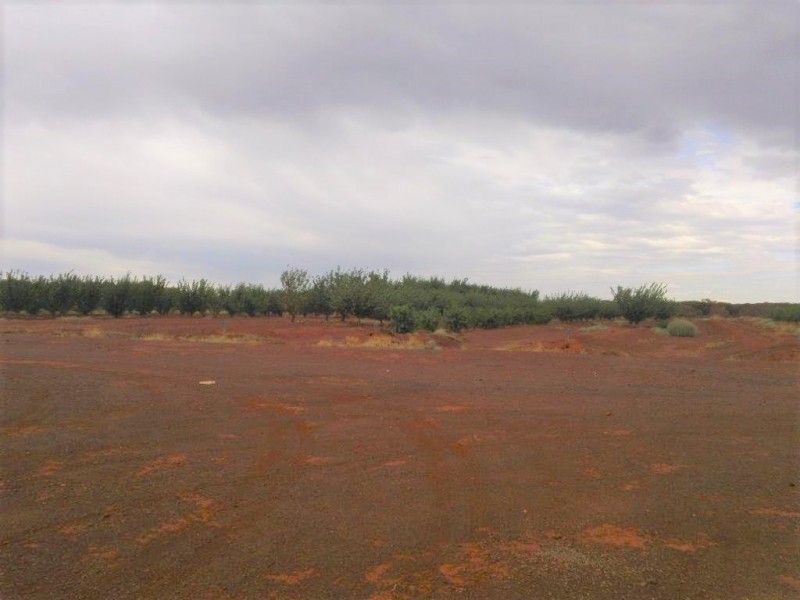 ‘Wydgee Station’ Great Northern Highway, Paynes Find WA 6612