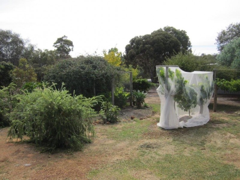 42 Moir Street, Frankland WA 6396