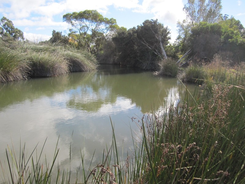 74 Blackbutt Drive, Manjimup WA 6258