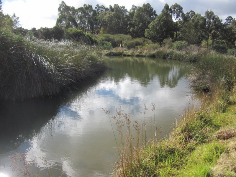 74 Blackbutt Drive, Manjimup WA 6258