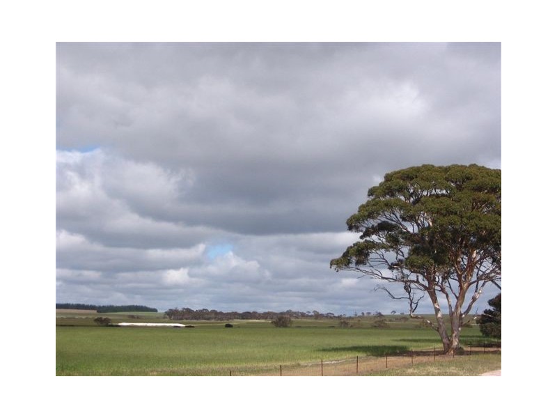 . ‘Dwartenup’ Chinocup Road, Nyabing WA 6341