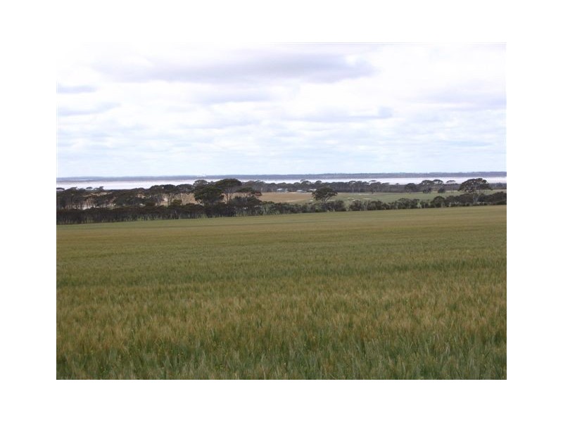 . ‘Dwartenup’ Chinocup Road, Nyabing WA 6341