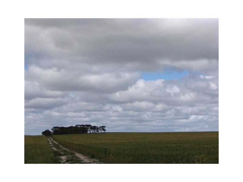 . ‘Dwartenup’ Chinocup Road, Nyabing WA 6341