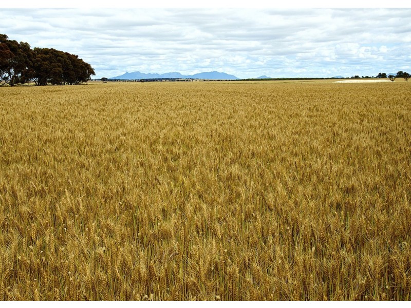 ‘Te Rawhiti’ 13149 Chester Pass Road, Borden WA 6338