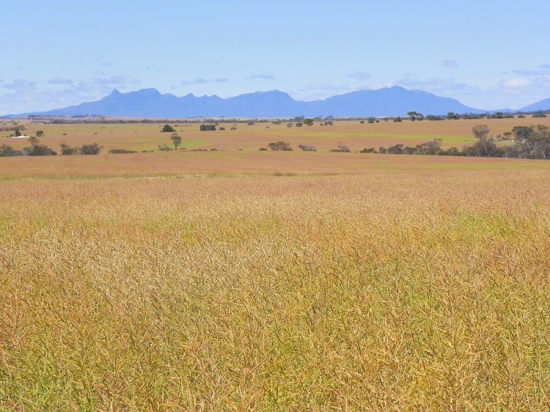 ‘Te Rawhiti’ 13149 Chester Pass Road, Borden WA 6338