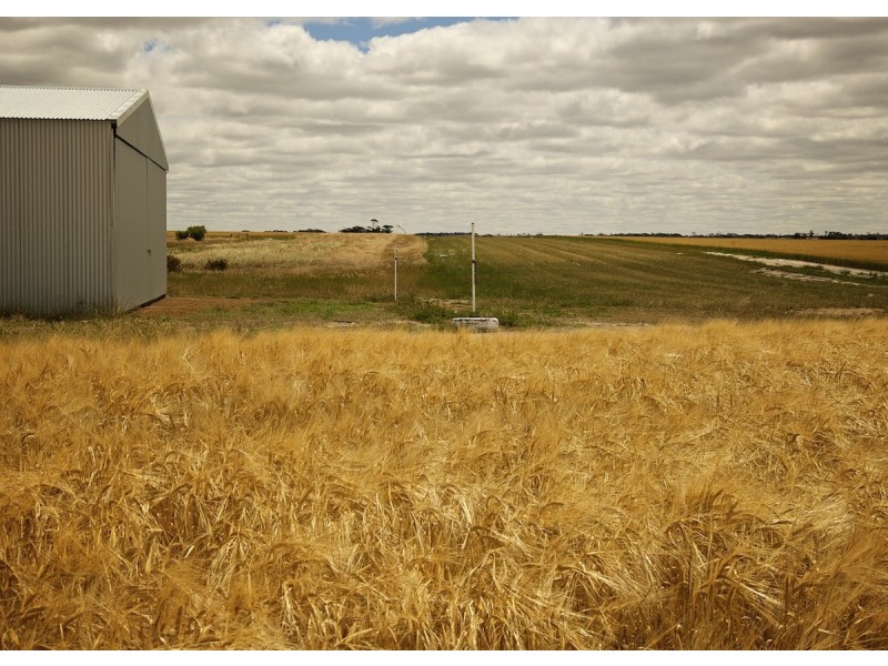 ‘Te Rawhiti’ 13149 Chester Pass Road, Borden WA 6338