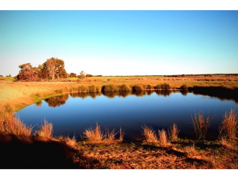 ‘Yoting’ Yoting South Road, Quairading WA 6383