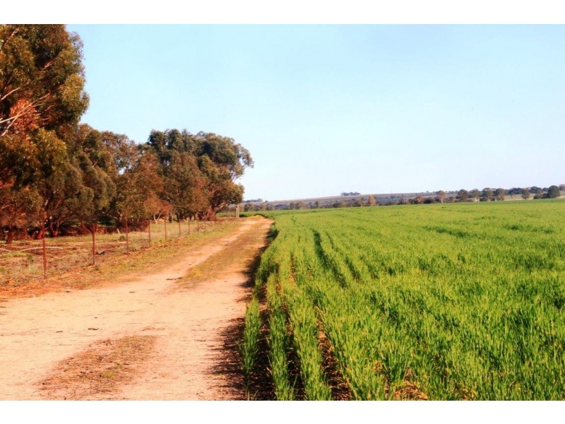 ‘Yoting’ Yoting South Road, Quairading WA 6383