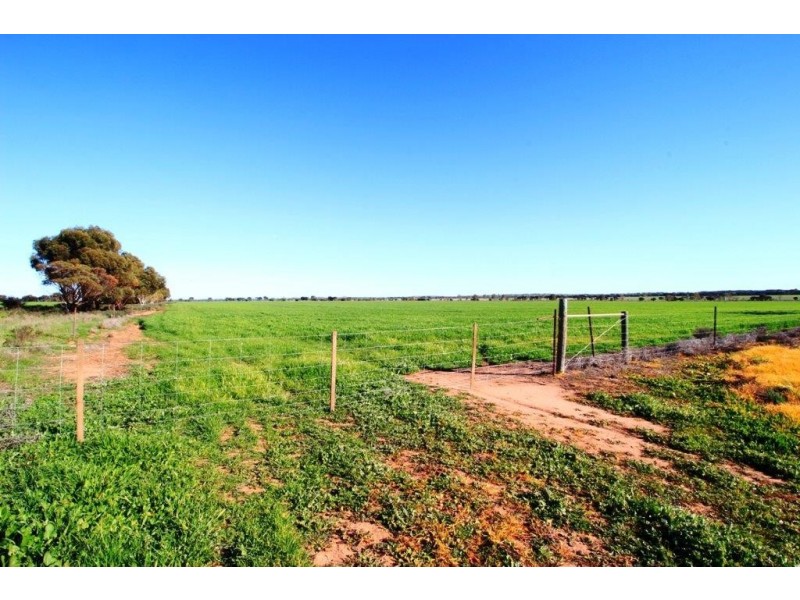 ‘Yoting’ Yoting South Road, Quairading WA 6383