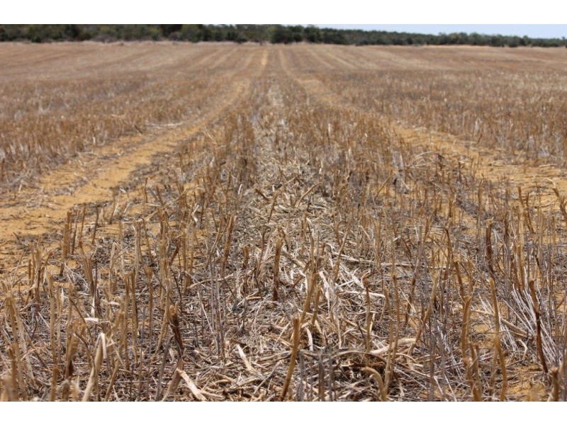 1415 Brooks Road, Ajana WA 6532