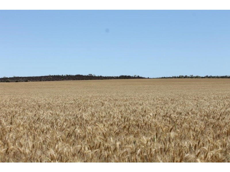 1415 Brooks Road, Ajana WA 6532