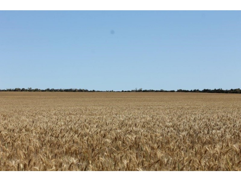 1415 Brooks Road, Ajana WA 6532