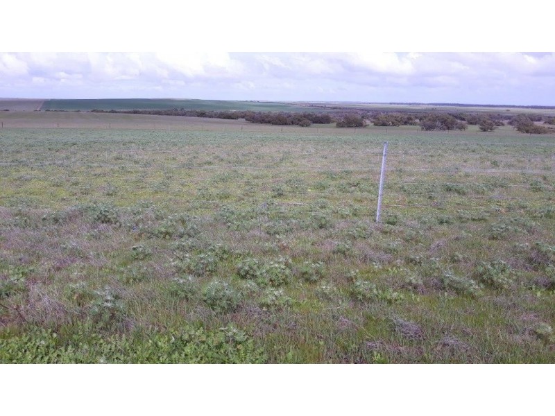 ‘East Wing’ 283 Rogers Road, Gillingarra WA 6510