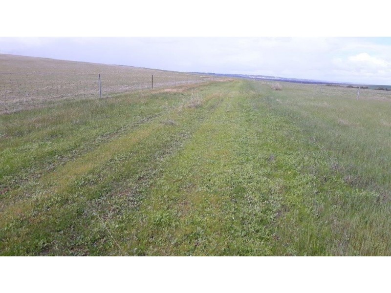 ‘East Wing’ 283 Rogers Road, Gillingarra WA 6510