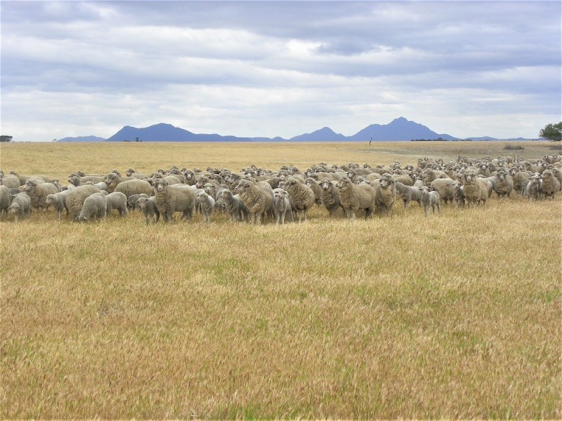 ” Warunga” Lot 6115 Formby Road South, Borden WA 6338