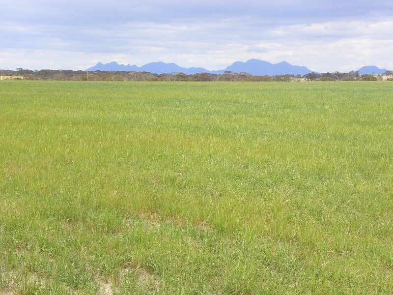 ” Warunga” Lot 6115 Formby Road South, Borden WA 6338