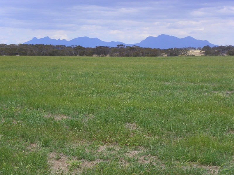 ” Warunga” Lot 6115 Formby Road South, Borden WA 6338