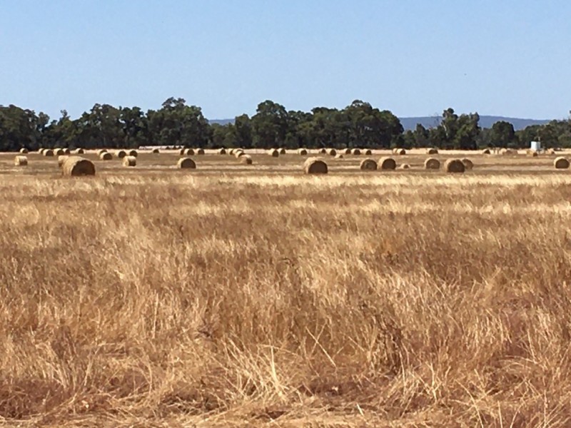 Lot 4 Mayfield Road, Waroona WA 6215