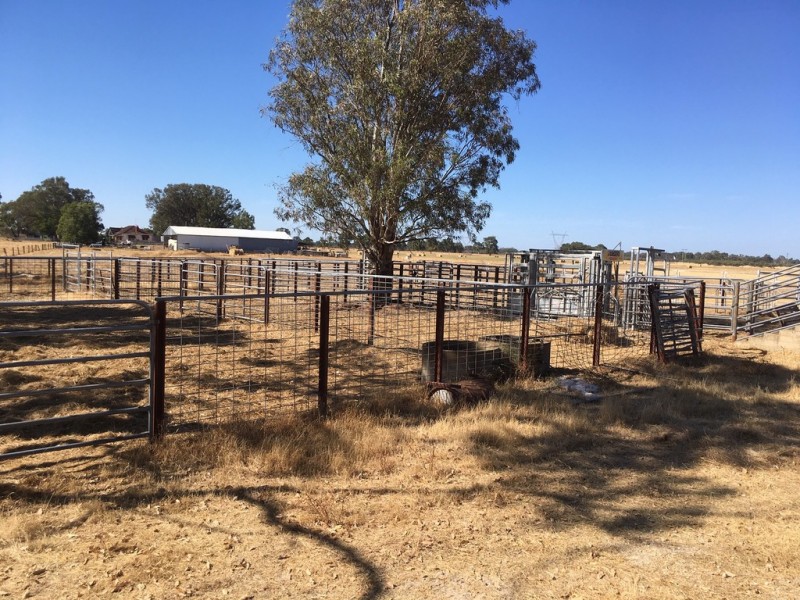 Lot 4 Mayfield Road, Waroona WA 6215