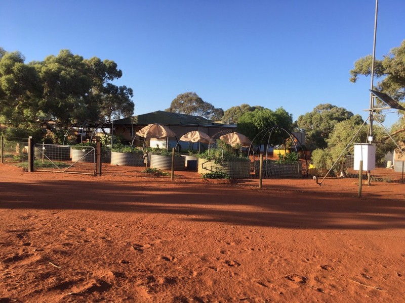 ‘Barrambie Station’, Sandstone WA 6639