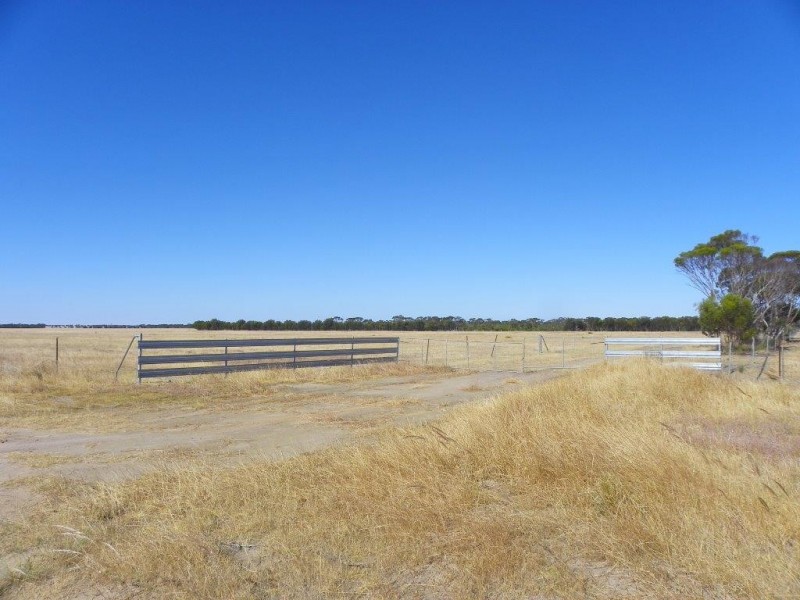 ‘Mallee Downs’ Lot 355 O’neill Road, Mills Lake WA 6336