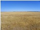 ‘Mallee Downs’ Lot 355 O’neill Road, Mills Lake WA 6336