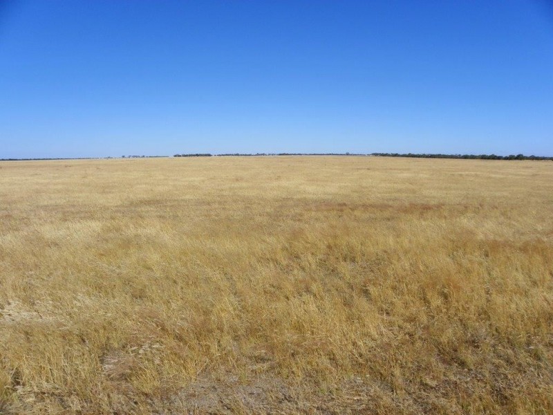 ‘Mallee Downs’ Lot 355 O’neill Road, Mills Lake WA 6336