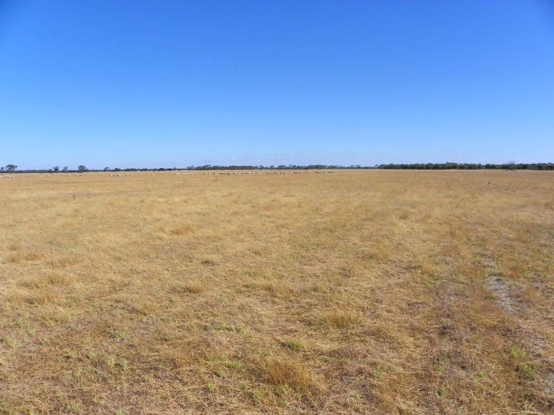 ‘Mallee Downs’ Lot 355 O’neill Road, Mills Lake WA 6336