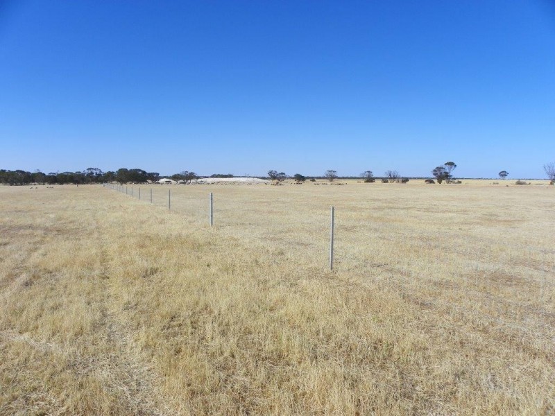 ‘Mallee Downs’ Lot 355 O’neill Road, Mills Lake WA 6336